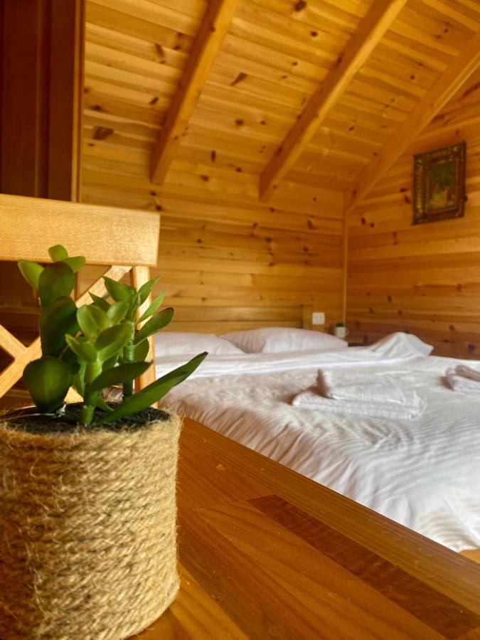 Magia Di Montagna Villa Zabljak  Exterior photo
